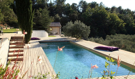 Sonne satt in einem Traumgarten im südfranzösischen Luberon