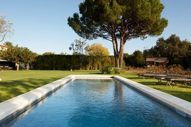 Exemple d'une piscine méditerranéenne rectangle.
