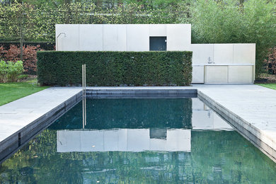 Свежая идея для дизайна: бассейн - отличное фото интерьера