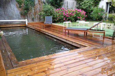 Idée de décoration pour une piscine naturelle tradition rectangle et de taille moyenne avec une cour et une terrasse en bois.