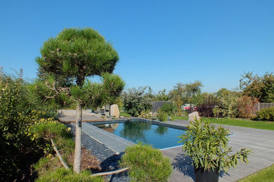 Aménagement d'une piscine naturelle de taille moyenne et rectangle avec une terrasse en bois.