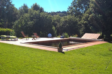 Modelo de piscina natural tradicional renovada de tamaño medio rectangular en patio con entablado