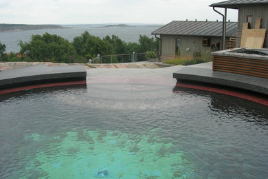 Cette photo montre une piscine scandinave.