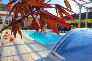 Esempio di una piscina minimalista