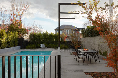 Свежая идея для дизайна: прямоугольный бассейн среднего размера в стиле модернизм с мощением тротуарной плиткой - отличное фото интерьера