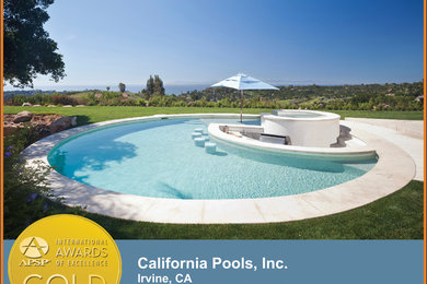 Trendy backyard custom-shaped pool photo in Los Angeles with decking