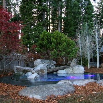 2014 Fall and Winter World's Greatest Pools submissions