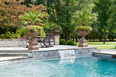 Design ideas for a classic swimming pool in Nashville.