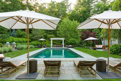 Diseño de piscina clásica extra grande rectangular en patio trasero