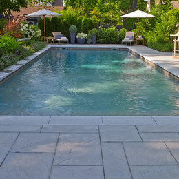 https://www.houzz.com/hznb/photos/backyard-pool-patio-with-concrete-slabs-transitional-pool-new-york-phvw-vp~23628716