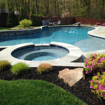 Alexandria, Remodel and Pool Construction