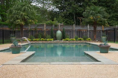 Imagen de piscina contemporánea de tamaño medio rectangular en patio trasero