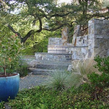 An East Bay Garden