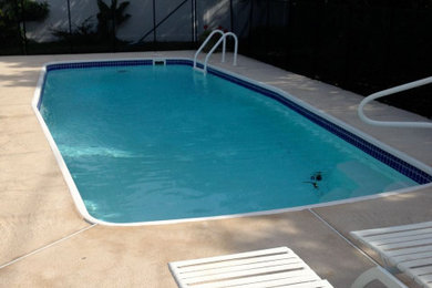 Pool - tropical pool idea in Tampa