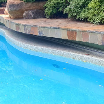Automatic Pool Cover on Freeform swimming pool