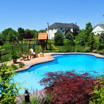 Backyard Free-Form Pool Retreat