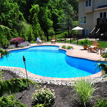 Backyard Free-Form Pool Retreat