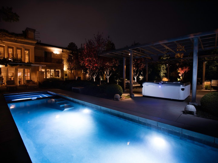 Lap - Traditional Pool