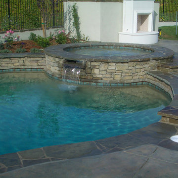 Backyard Oasis | Freeform Pool
