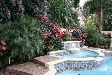 Backyard Oasis - Palm Beach