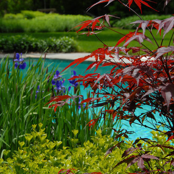 Backyard Oasis - Shelburne, VT - Colorful Trees and Perennials