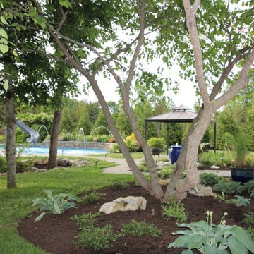 Backyard Oasis