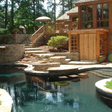 Backyard Pool and Garden