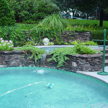 Backyard Pool & Patio