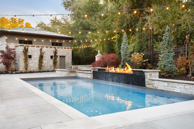 Contemporary Pool by Decorative Landscaping