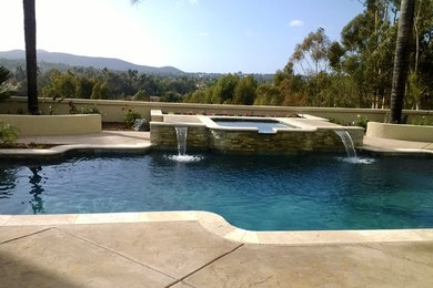 Hot tub - large contemporary backyard stamped concrete and custom-shaped hot tub idea in San Diego