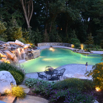 Backyard Sanctuary