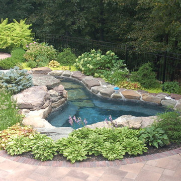 Backyard spa, fireplace and bar