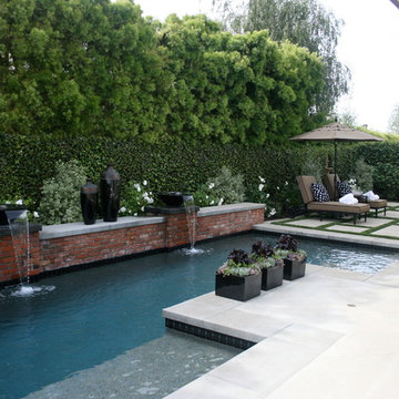Backyard Tranquility
