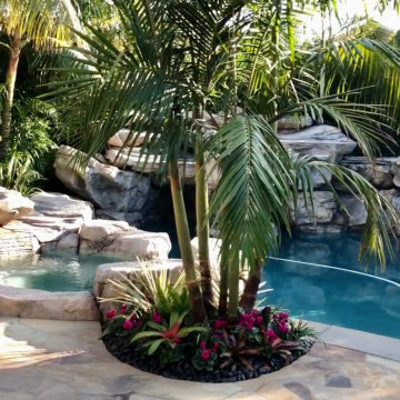 Backyard Tropical Landscape Renovation