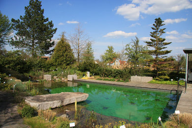Klassischer Pool hinter dem Haus in Stuttgart