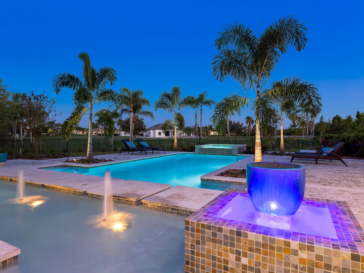 Pool - Contemporary Pool