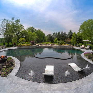 Barrington Hills, IL Freeform Perimeter Overflow with Perimeter Overflow Hot Tub