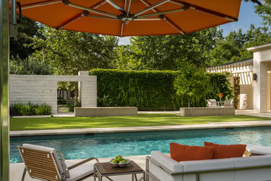 Inspiration for a large transitional backyard stone and rectangular pool remodel in Houston