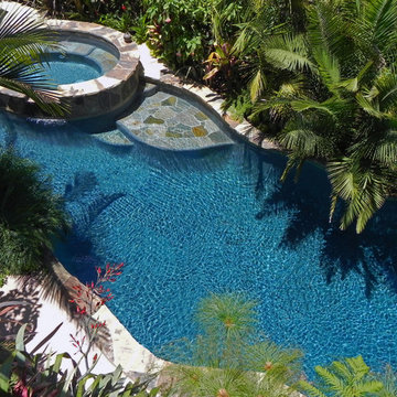 Beautiful Freeform Tropical Pools