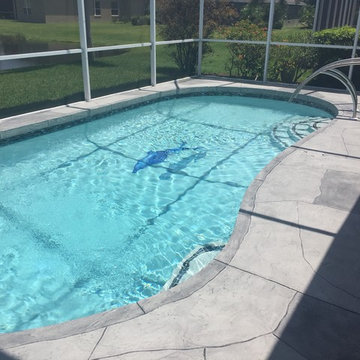 Beautiful New Pool Surface with Dolphin Moasic
