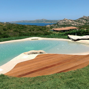 Biodesign Natural Pond Pools