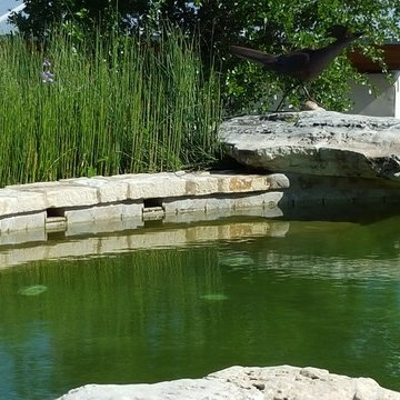 BioNova Natural Swimming Pool - Austin, TX