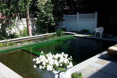 Exemple d'une petite piscine naturelle et arrière rectangle avec des pavés en pierre naturelle.
