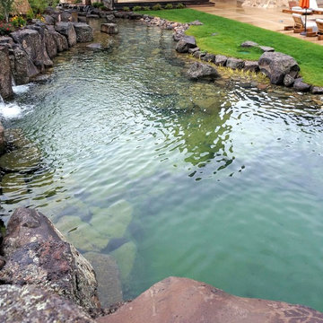BioNova Natural Swimming Pool - Provo, UT