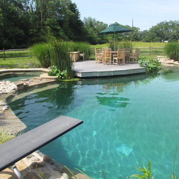 BioNova® Natural Swimming Pool - Princeton, NJ