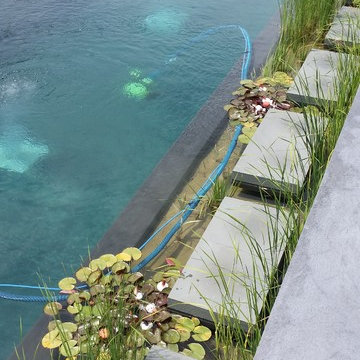 Biotop Natural swimming pool Columbia County New York
