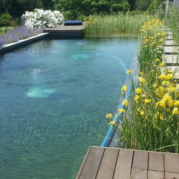 Biotop Natural swimming pool in Columbia County New York