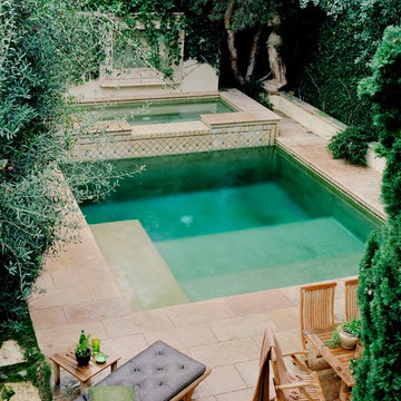 Bohemian Sanctuary