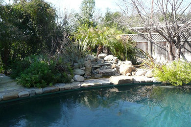 Imagen de piscina con fuente natural tradicional de tamaño medio tipo riñón en patio trasero con adoquines de piedra natural