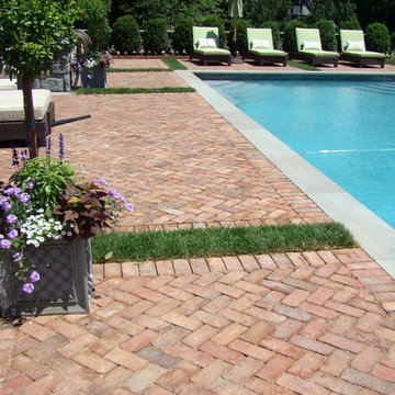 Brick Pool decking and Garden
